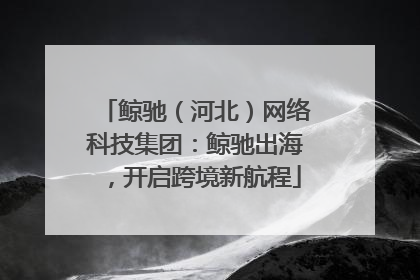 鲸驰（河北）网络科技集团：鲸驰出海，开启跨境新航程