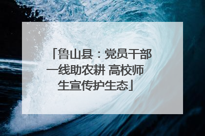 鲁山县：党员干部一线助农耕 高校师生宣传护生态