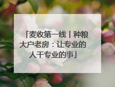 麦收第一线丨种粮大户老房：让专业的人干专业的事