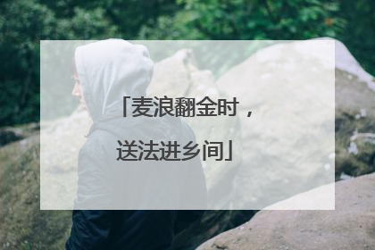 麦浪翻金时，送法进乡间