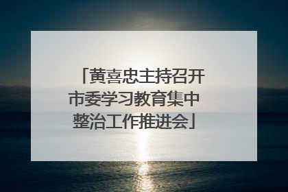 黄喜忠主持召开市委学习教育集中整治工作推进会