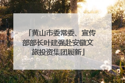 黄山市委常委、宣传部部长叶建强赴安徽文旅投资集团履新