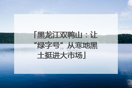 黑龙江双鸭山：让“绿字号”从寒地黑土挺进大市场