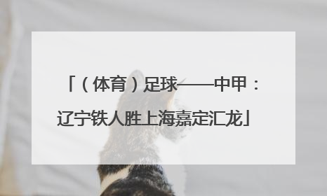 （体育）足球——中甲：辽宁铁人胜上海嘉定汇龙