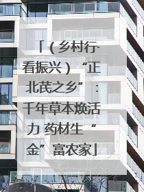 （乡村行·看振兴）“正北芪之乡”：千年草本焕活力 药材生“金”富农家