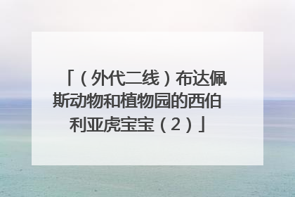 （外代二线）布达佩斯动物和植物园的西伯利亚虎宝宝（2）