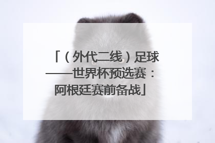 （外代二线）足球——世界杯预选赛：阿根廷赛前备战