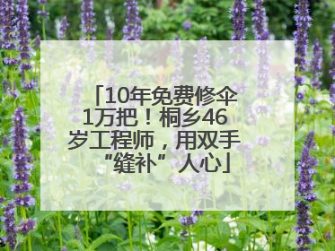 10年免费修伞1万把！桐乡46岁工程师，用双手“缝补”人心