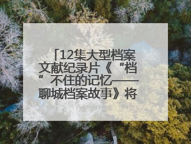 12集大型档案文献纪录片《“档”不住的记忆——聊城档案故事》将于近期播出