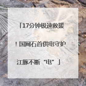 17分钟极速救援！国网石首供电守护江豚不断“电”