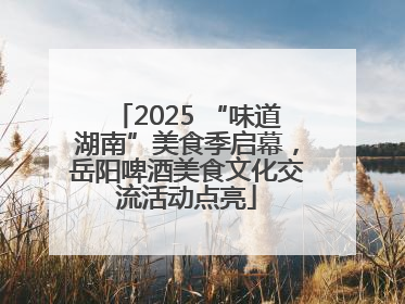 2025 “味道湖南”美食季启幕，岳阳啤酒美食文化交流活动点亮