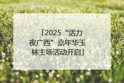 2025“活力夜广西”嘉年华玉林主场活动开启