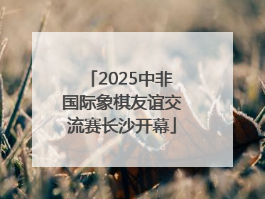 2025中非国际象棋友谊交流赛长沙开幕