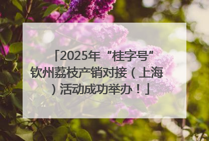 2025年“桂字号”钦州荔枝产销对接（上海）活动成功举办！