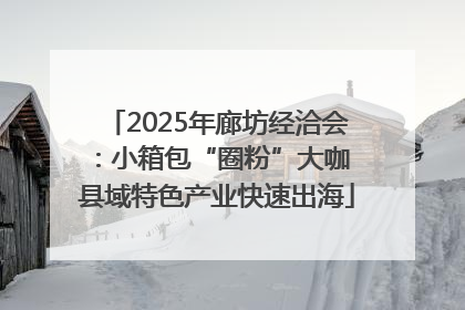 2025年廊坊经洽会：小箱包“圈粉”大咖 县域特色产业快速出海
