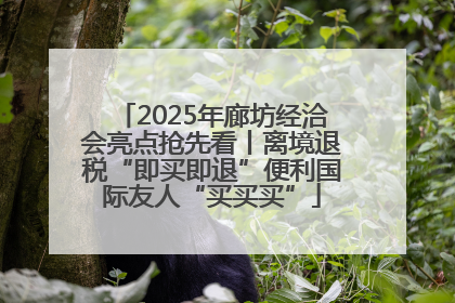 2025年廊坊经洽会亮点抢先看丨离境退税“即买即退”便利国际友人“买买买”