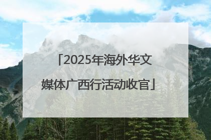 2025年海外华文媒体广西行活动收官
