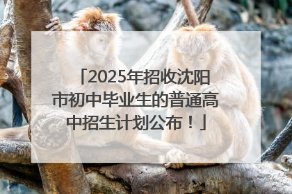2025年招收沈阳市初中毕业生的普通高中招生计划公布！