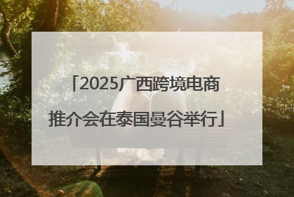 2025广西跨境电商推介会在泰国曼谷举行