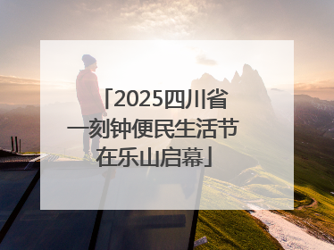 2025四川省一刻钟便民生活节在乐山启幕