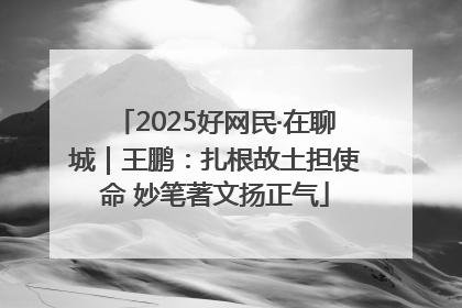 2025好网民·在聊城｜王鹏：扎根故土担使命 妙笔著文扬正气