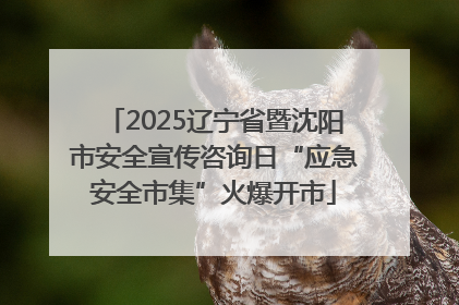 2025辽宁省暨沈阳市安全宣传咨询日“应急安全市集”火爆开市