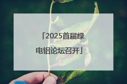2025首届绿电铝论坛召开