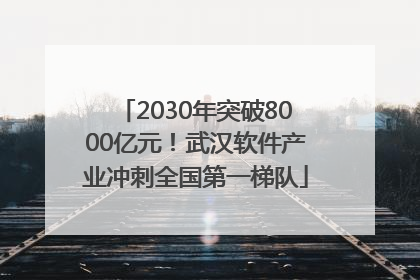 2030年突破8000亿元！武汉软件产业冲刺全国第一梯队