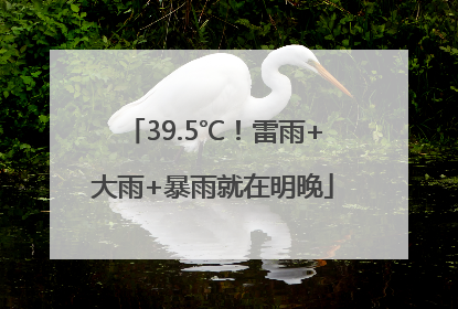 39.5℃！雷雨+大雨+暴雨就在明晚