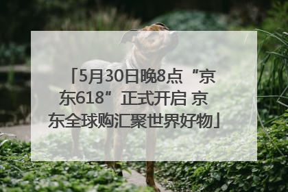 5月30日晚8点“京东618”正式开启 京东全球购汇聚世界好物