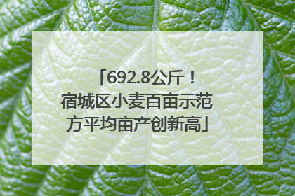 692.8公斤！宿城区小麦百亩示范方平均亩产创新高