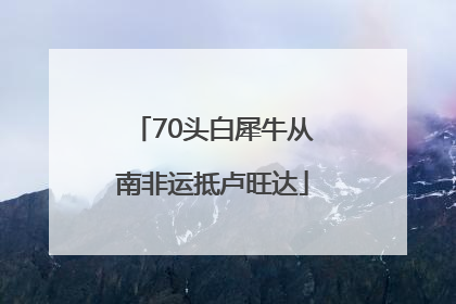 70头白犀牛从南非运抵卢旺达