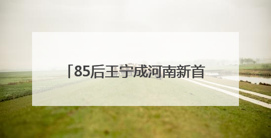 85后王宁成河南新首富，23岁创立泡泡玛特！旗下Labubu全球爆火“一娃难求”