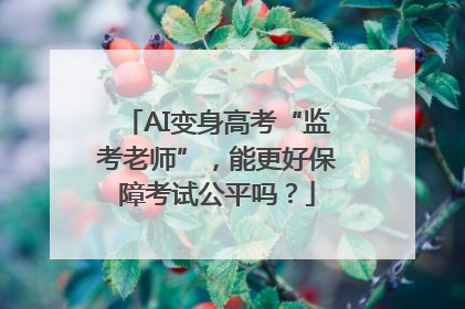 AI变身高考“监考老师”，能更好保障考试公平吗？