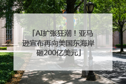AI扩张狂潮！亚马逊宣布再向美国东海岸砸200亿美元