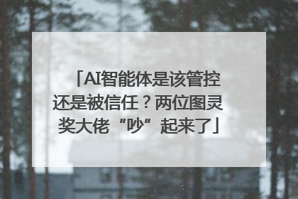AI智能体是该管控还是被信任？两位图灵奖大佬“吵”起来了