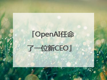 OpenAI任命了一位新CEO