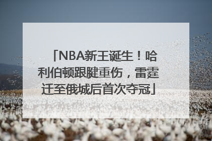 NBA新王诞生！哈利伯顿跟腱重伤，雷霆迁至俄城后首次夺冠