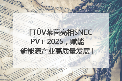 TÜV莱茵亮相SNEC PV+ 2025，赋能新能源产业高质量发展